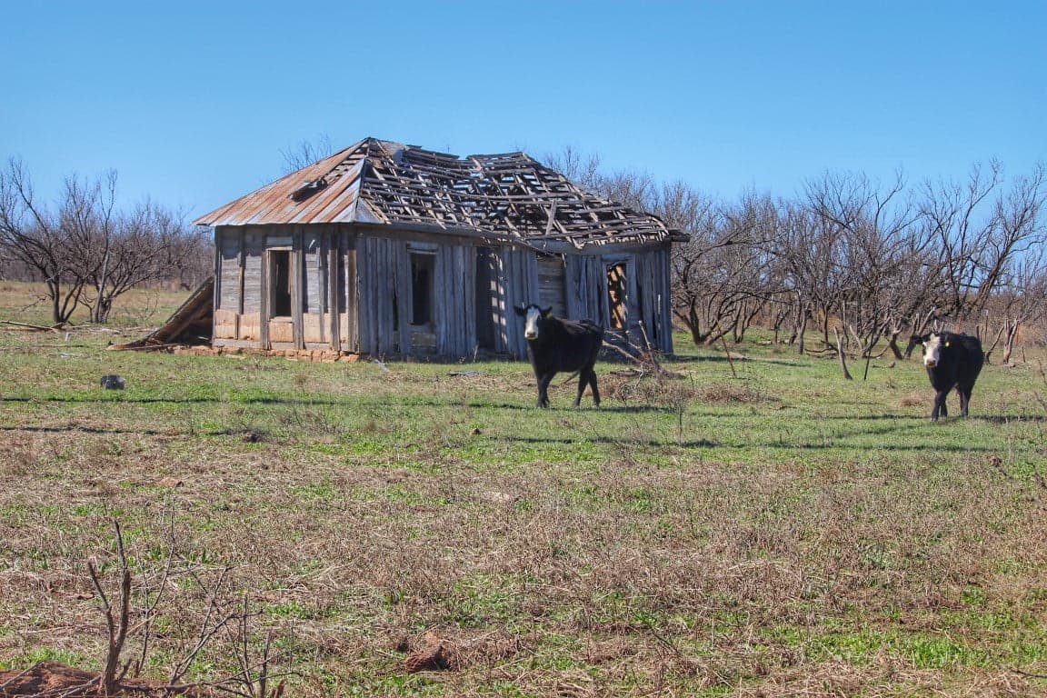 Overview of 66 acre timberland in Foard County, Texas