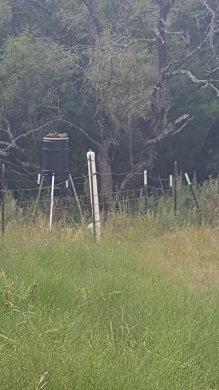 117 acre hunting land in Erath County, Texas