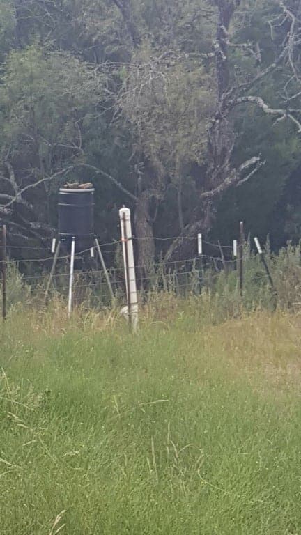 Overview of 117 acre hunting land in Erath County, Texas