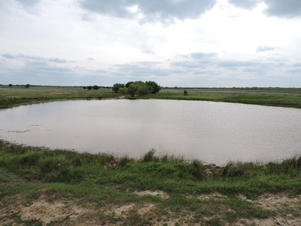 Overview of 50 acre ranch in Clay County, Texas