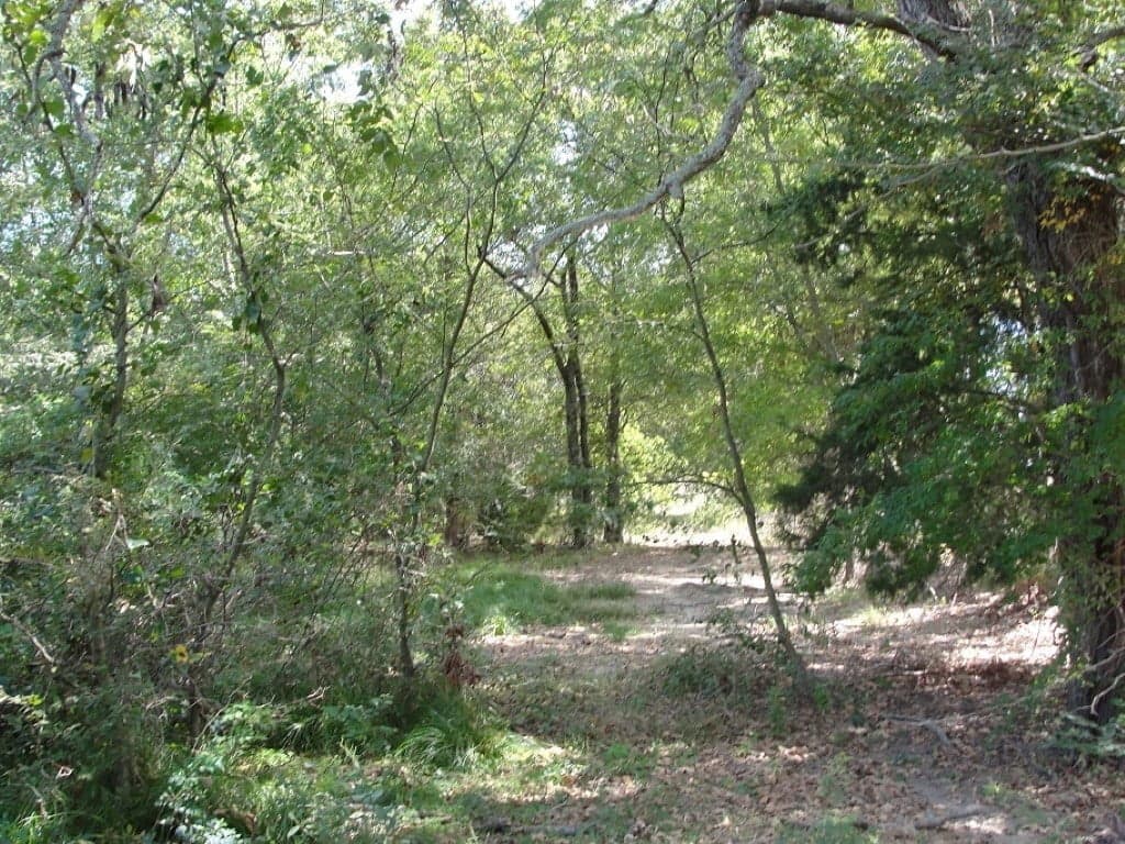 Overview of 2 acre ranch in Rains County, Texas