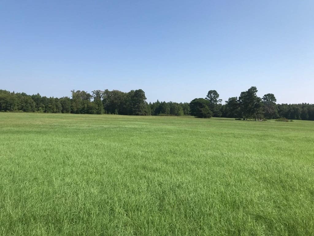 16.96 acre timberland in Cass County, Texas