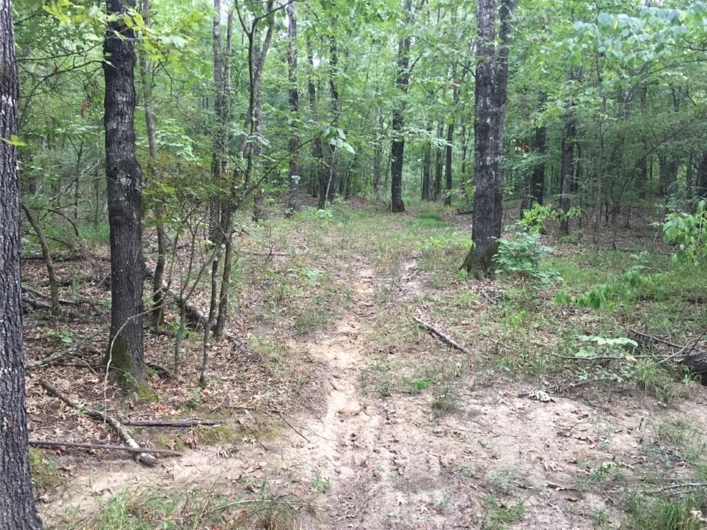 Overview of 59.83 acre ranch in Red River County, Texas