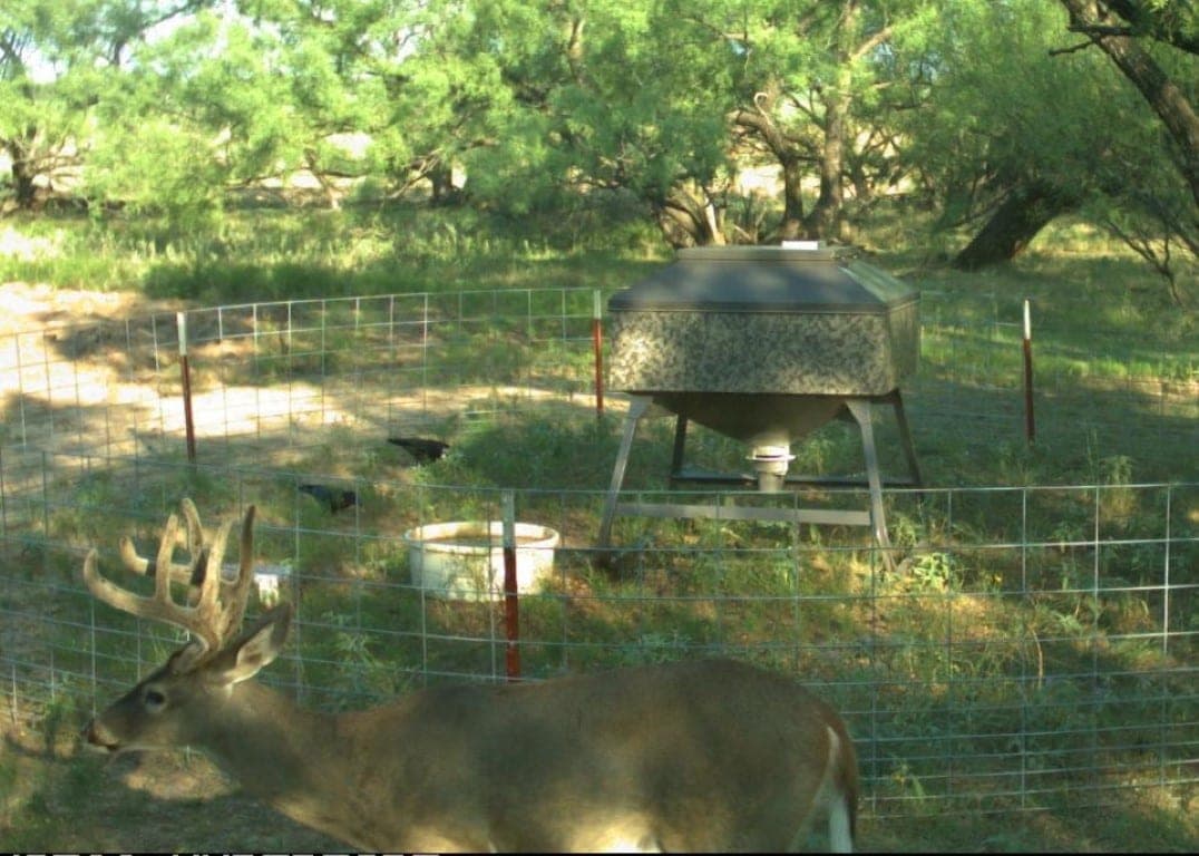 Overview of 175 acre hunting land in Baylor County, Texas