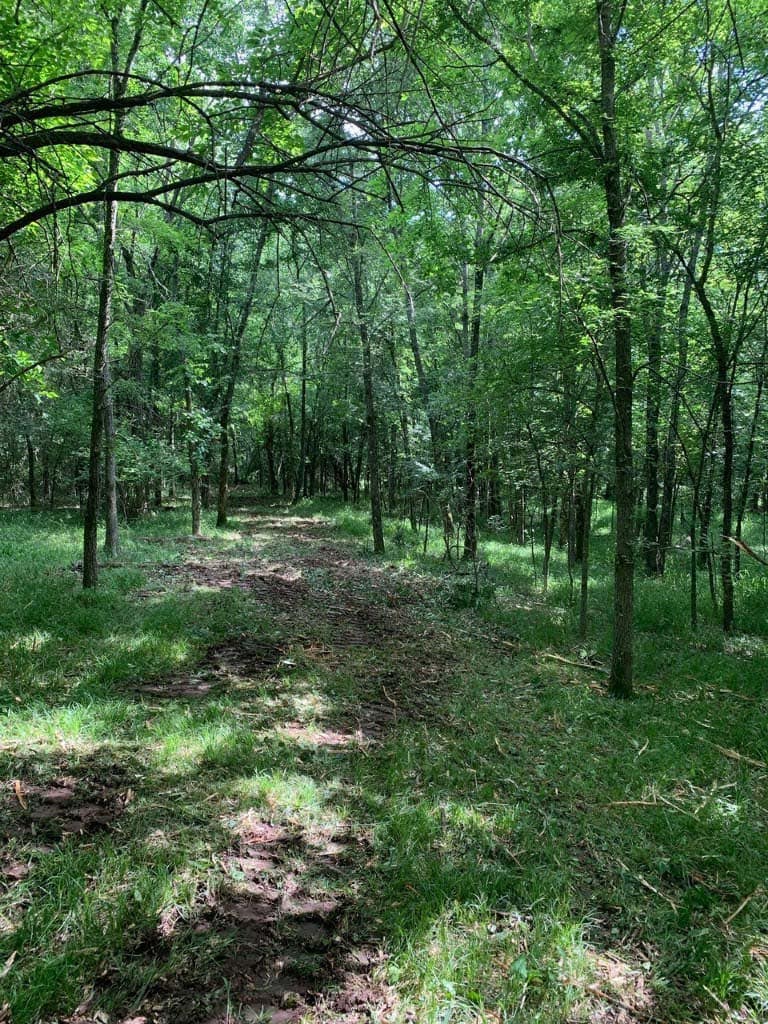 17.24 acre hunting land in Lamar County, Texas