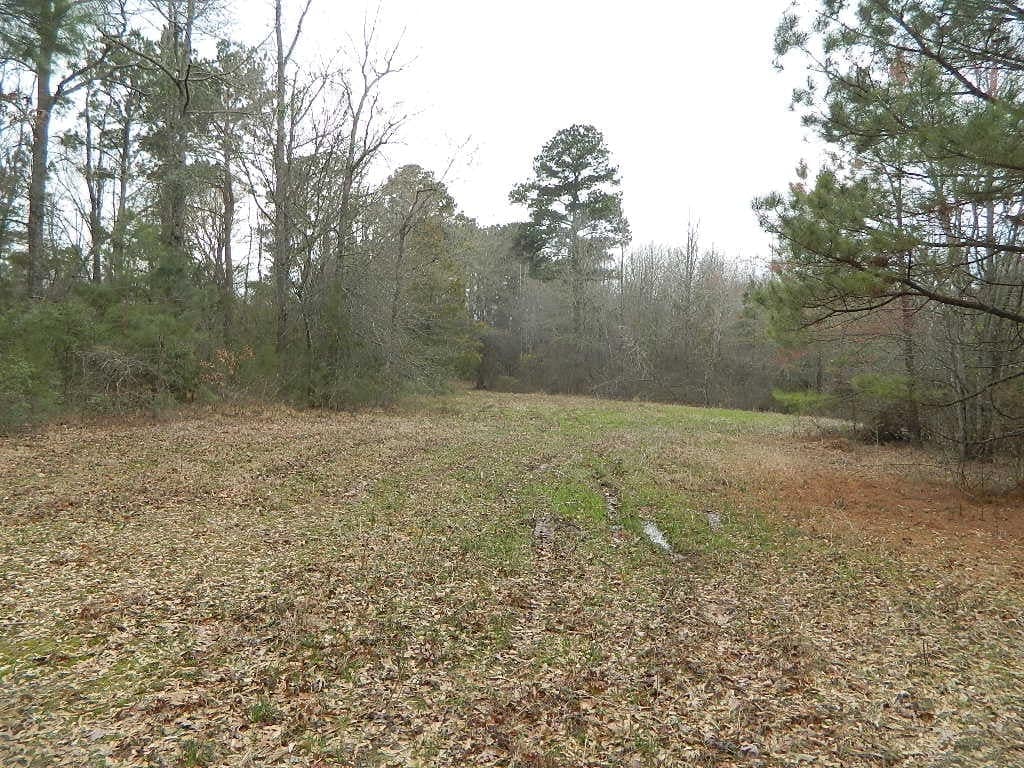 115.92 acre hunting land in Titus County, Texas