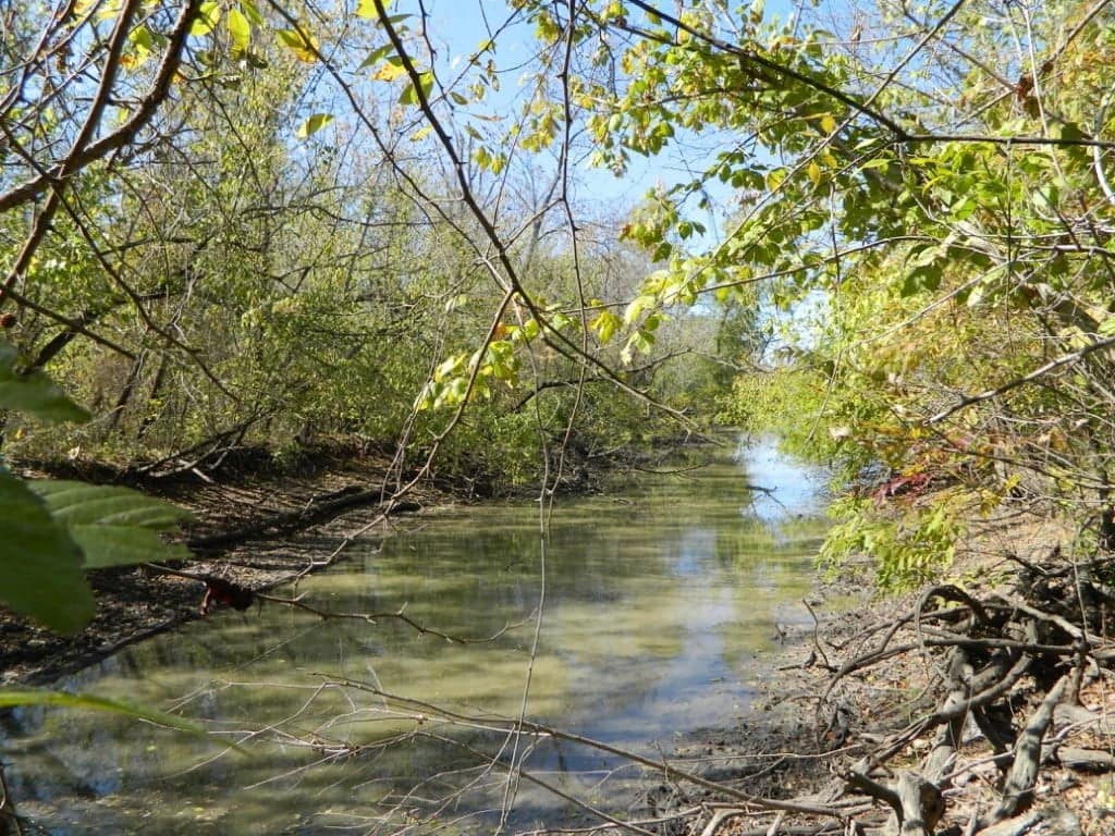 65.81 acre ranch in Red River County, Texas