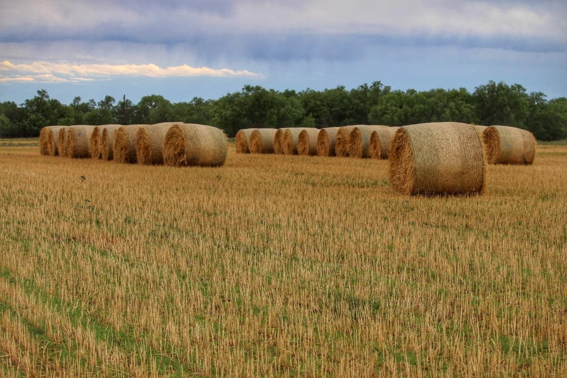 208 acre farm in Knox County, Texas
