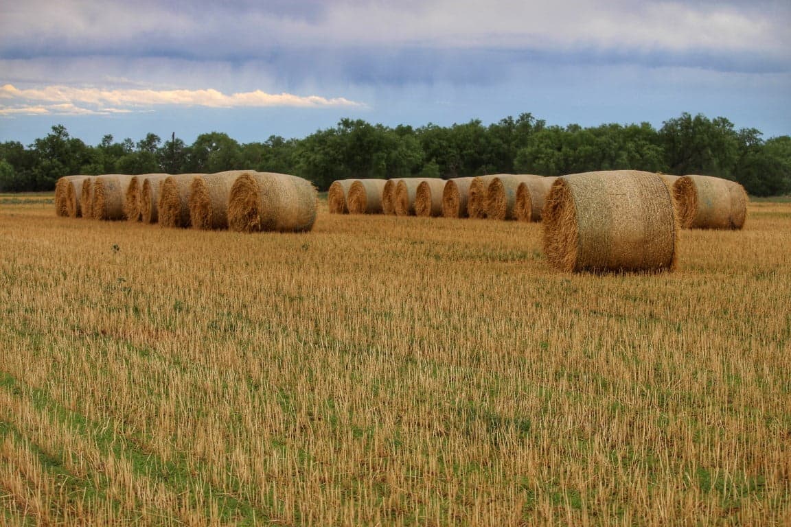 Overview of 208 acre farm in Knox County, Texas