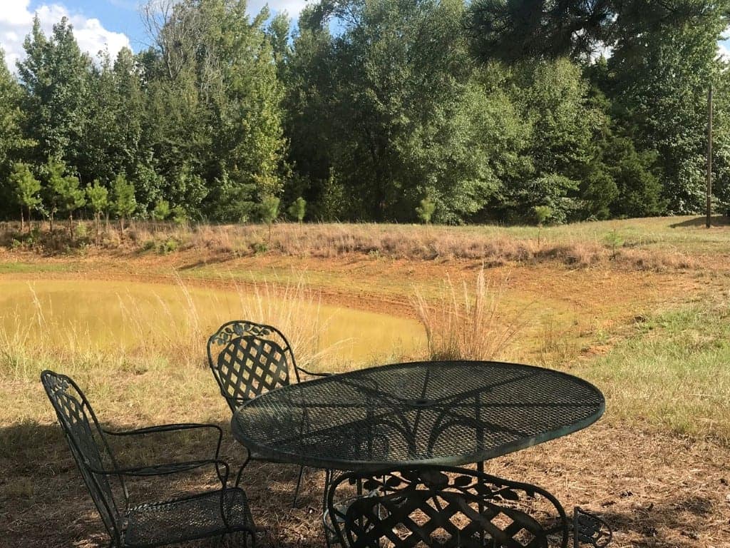 117.89 acre timberland in Red River County, Texas