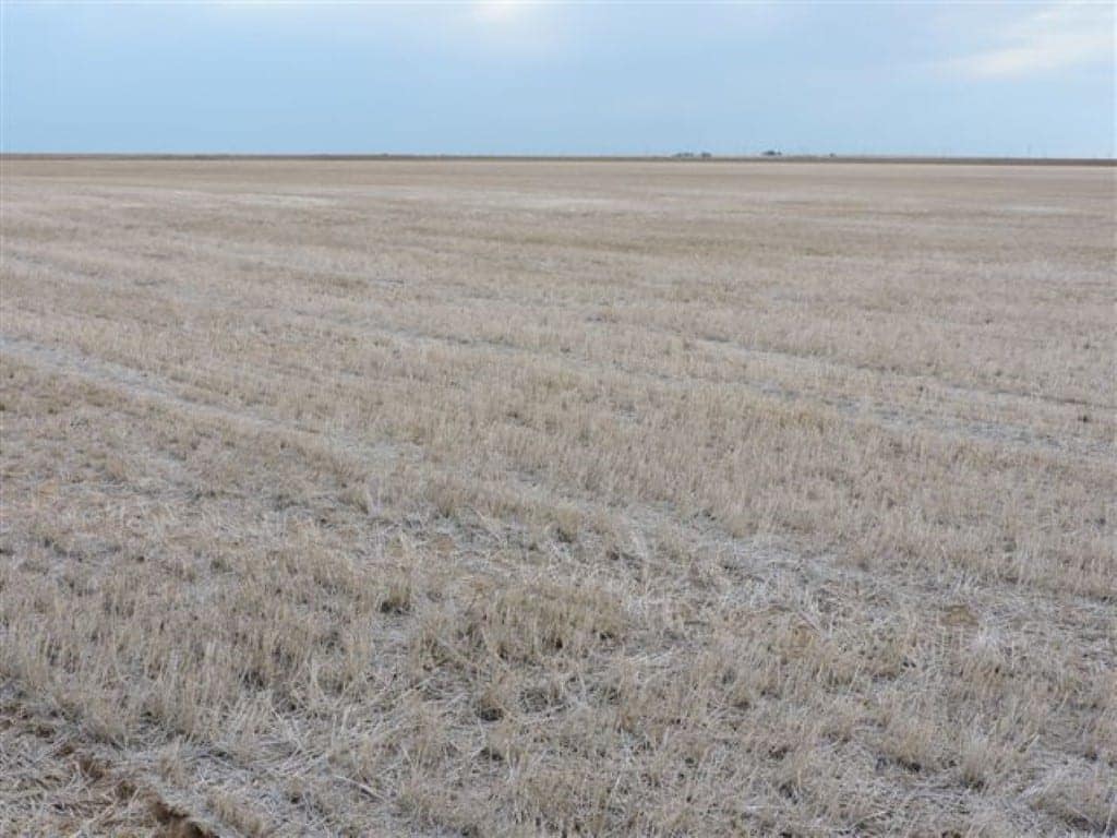 1,210 acre farm in Wilbarger County, Texas