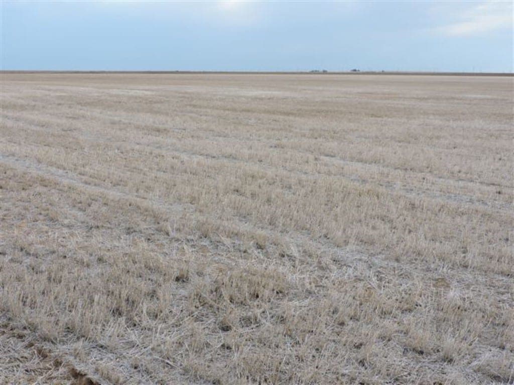Overview of 1,210 acre farm in Wilbarger County, Texas
