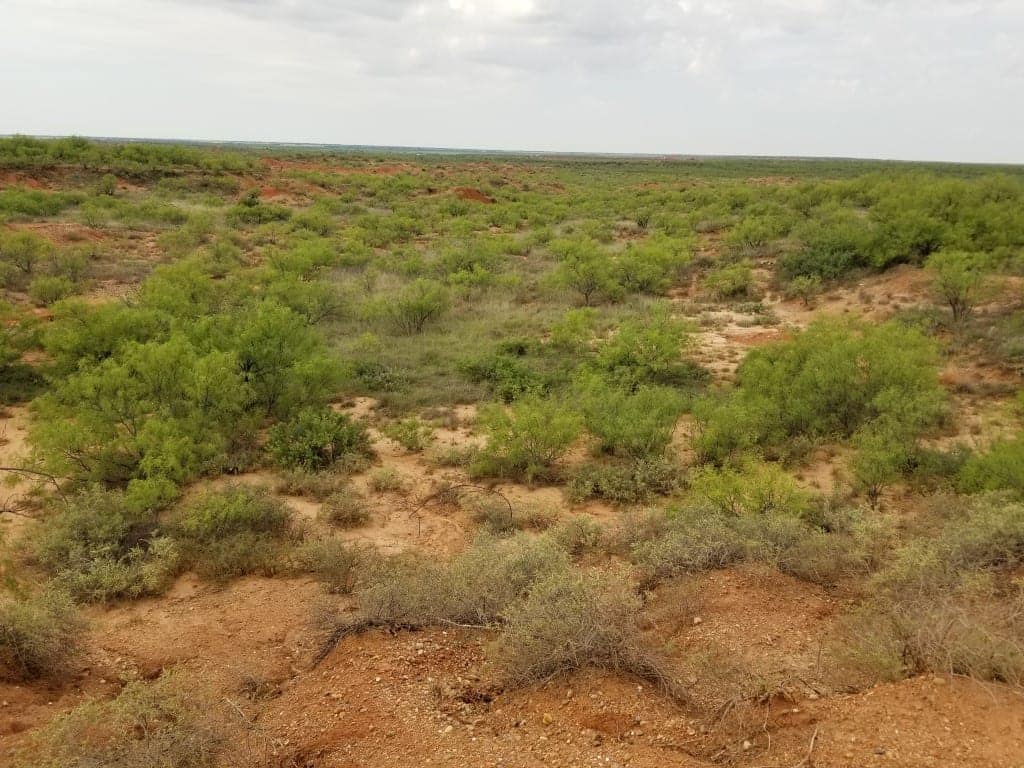 320 acre farm in Hardeman County, Texas