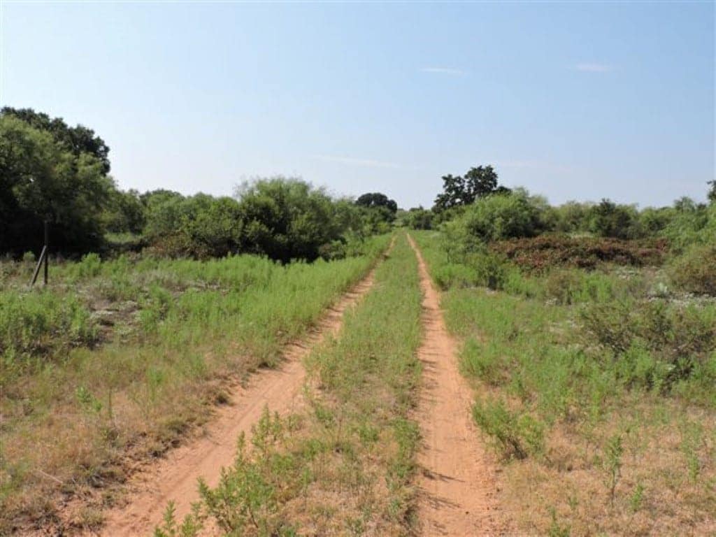 1,246 acre hunting land in Jack County, Texas