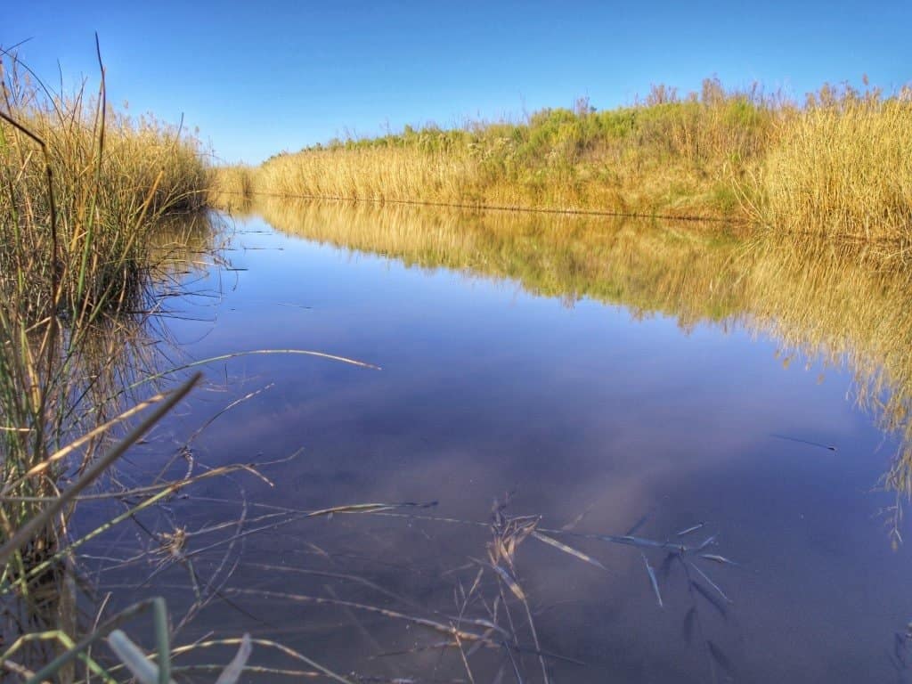 583 acre hunting land in Wilbarger County, Texas