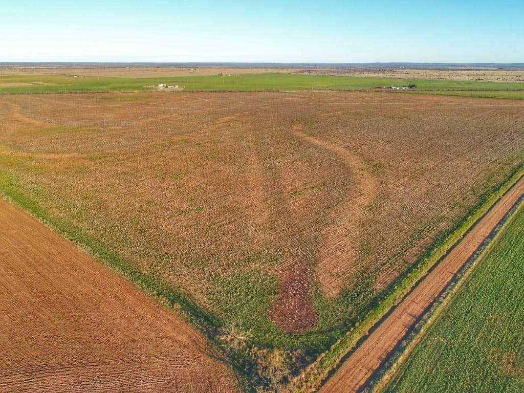 169 acre farm in Foard County, Texas