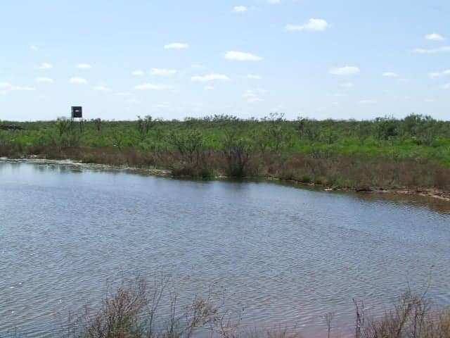 4,173 acre hunting land in Foard County, Texas
