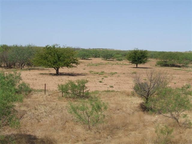 3,830 acre hunting land in Baylor County, Texas
