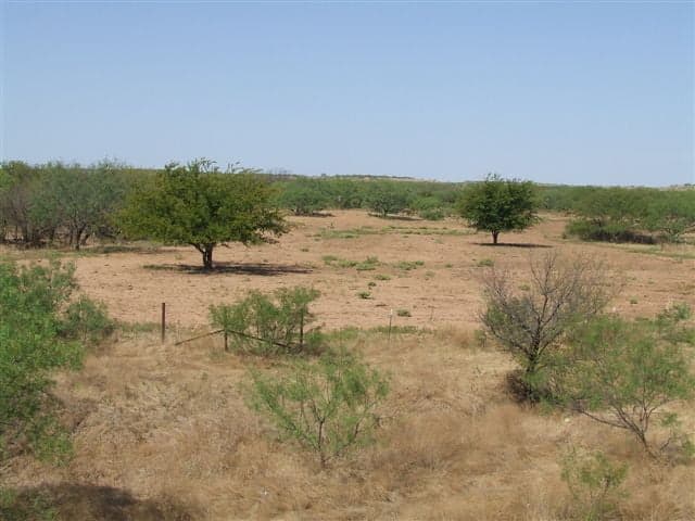 Overview of 3,830 acre hunting land in Baylor County, Texas