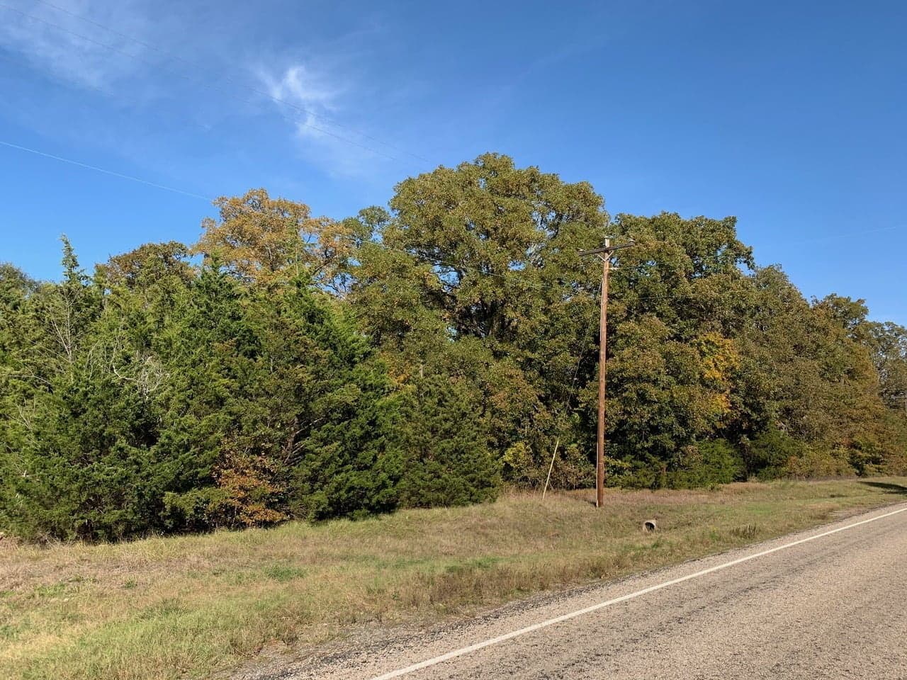 Overview of 0.84 acre ranch in Titus County, Texas