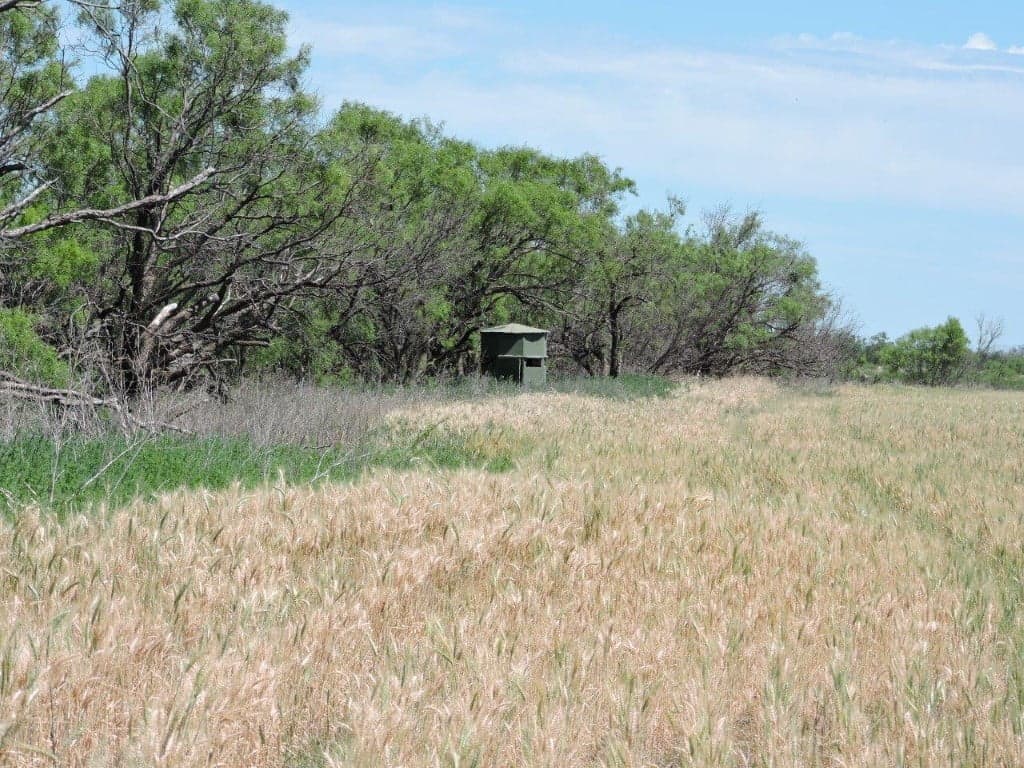 Overview of 262 acre farm in Knox County, Texas