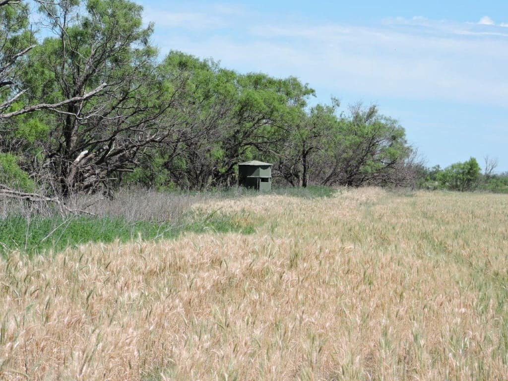262 acre farm in Knox County, Texas