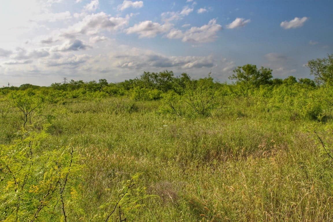 11 acre ranch in Archer County, Texas