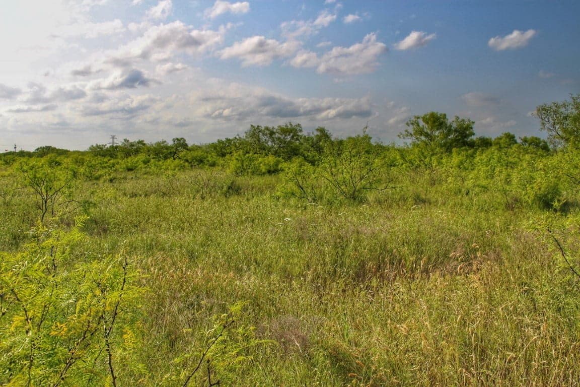 Overview of 11 acre ranch in Archer County, Texas