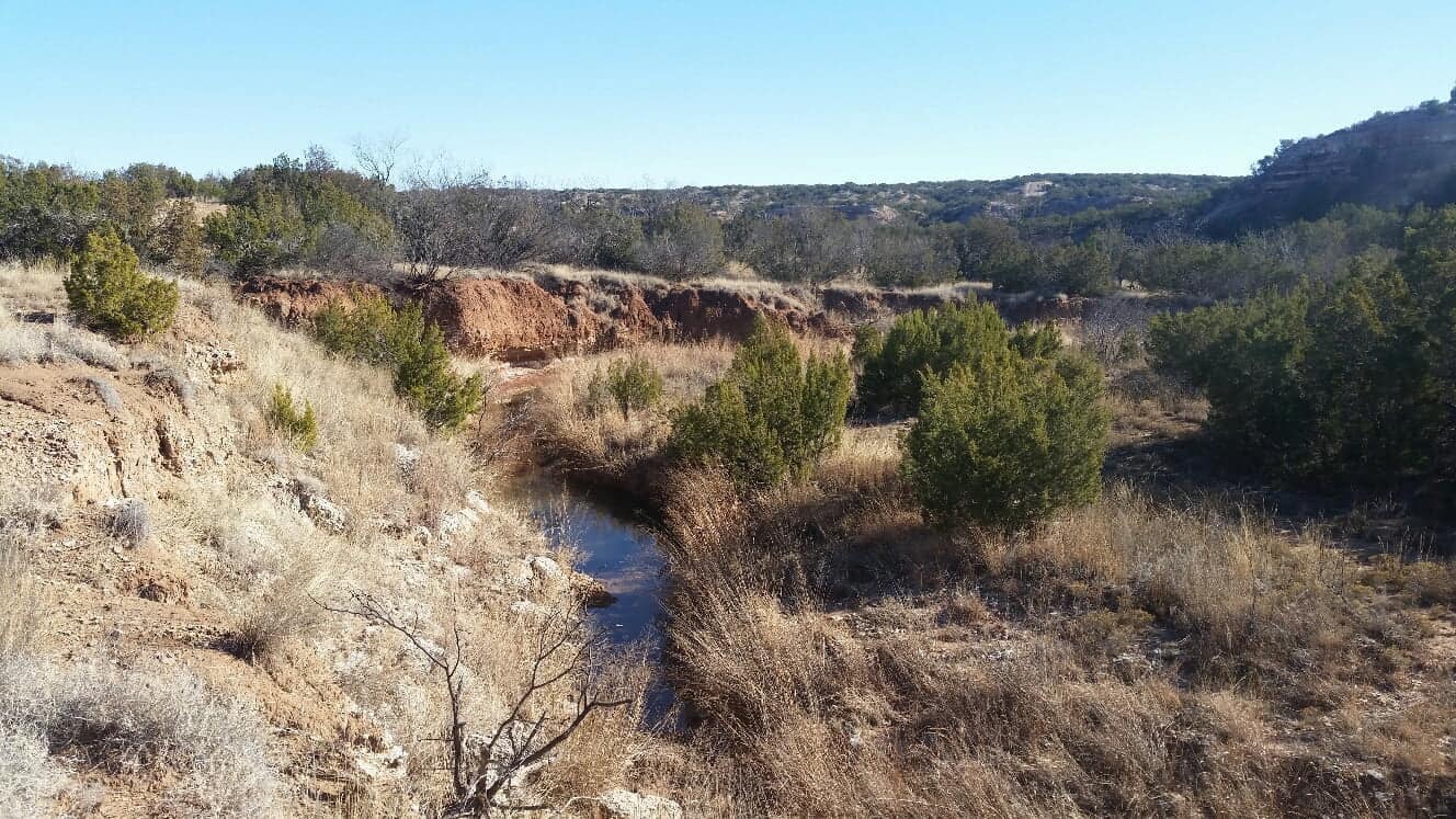 3,655 acre hunting land in King County, Texas