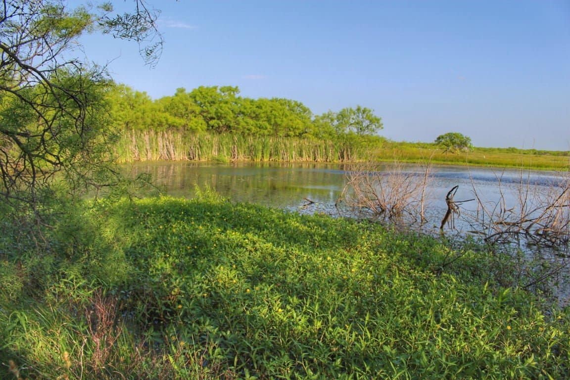 11.4 acre ranch in Archer County, Texas