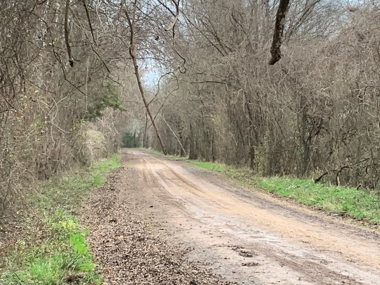 Overview of 176 acre farm in McCurtain County, Oklahoma