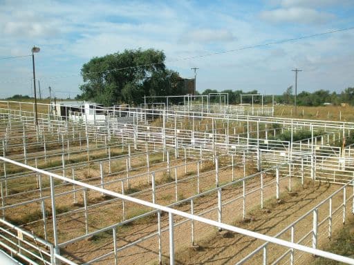 Overview of 33 acre ranch in Wilbarger County, Texas
