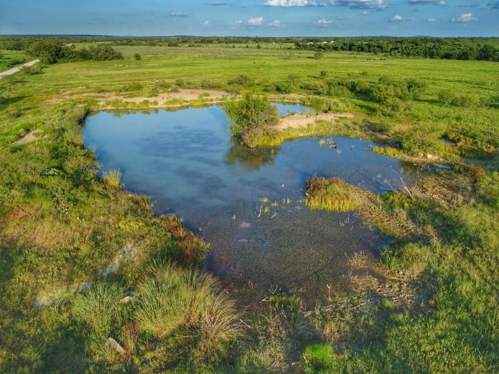 193 acre timberland in Young County, Texas