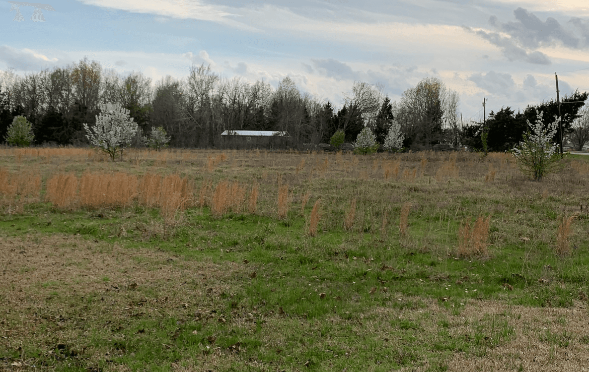 22 acre hunting land in Red River County, Texas