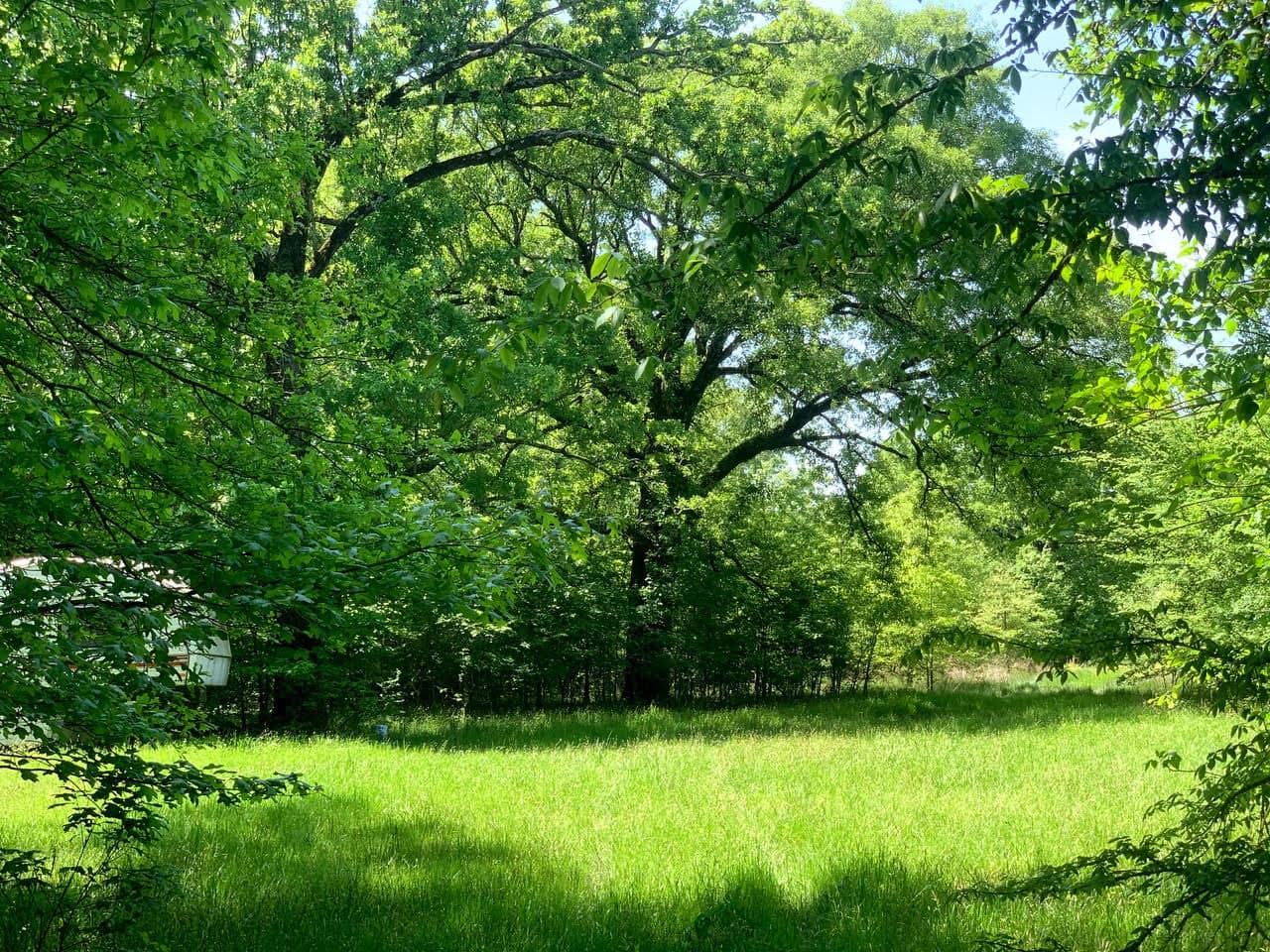 12 acre ranch in Titus County, Texas