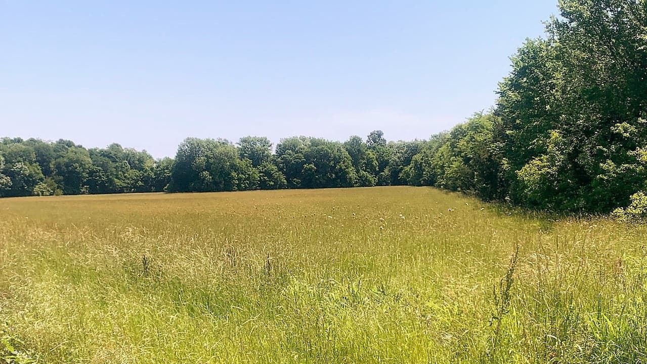 Overview of 12.58 acre ranch in Red River County, Texas