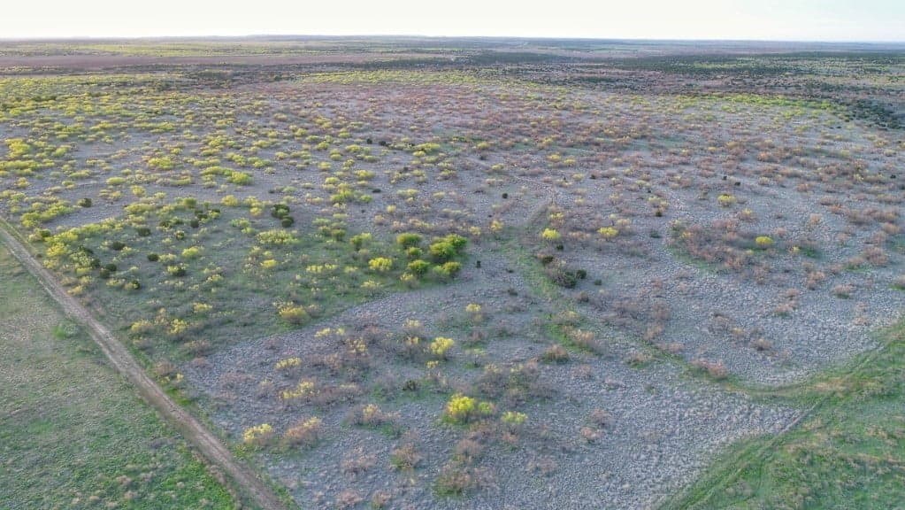 Overview of 743.8 acre hunting land in Foard County, Texas