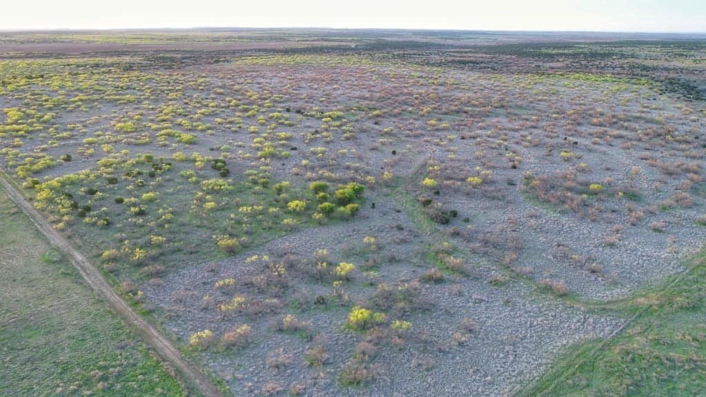 743.8 acre hunting land in Foard County, Texas