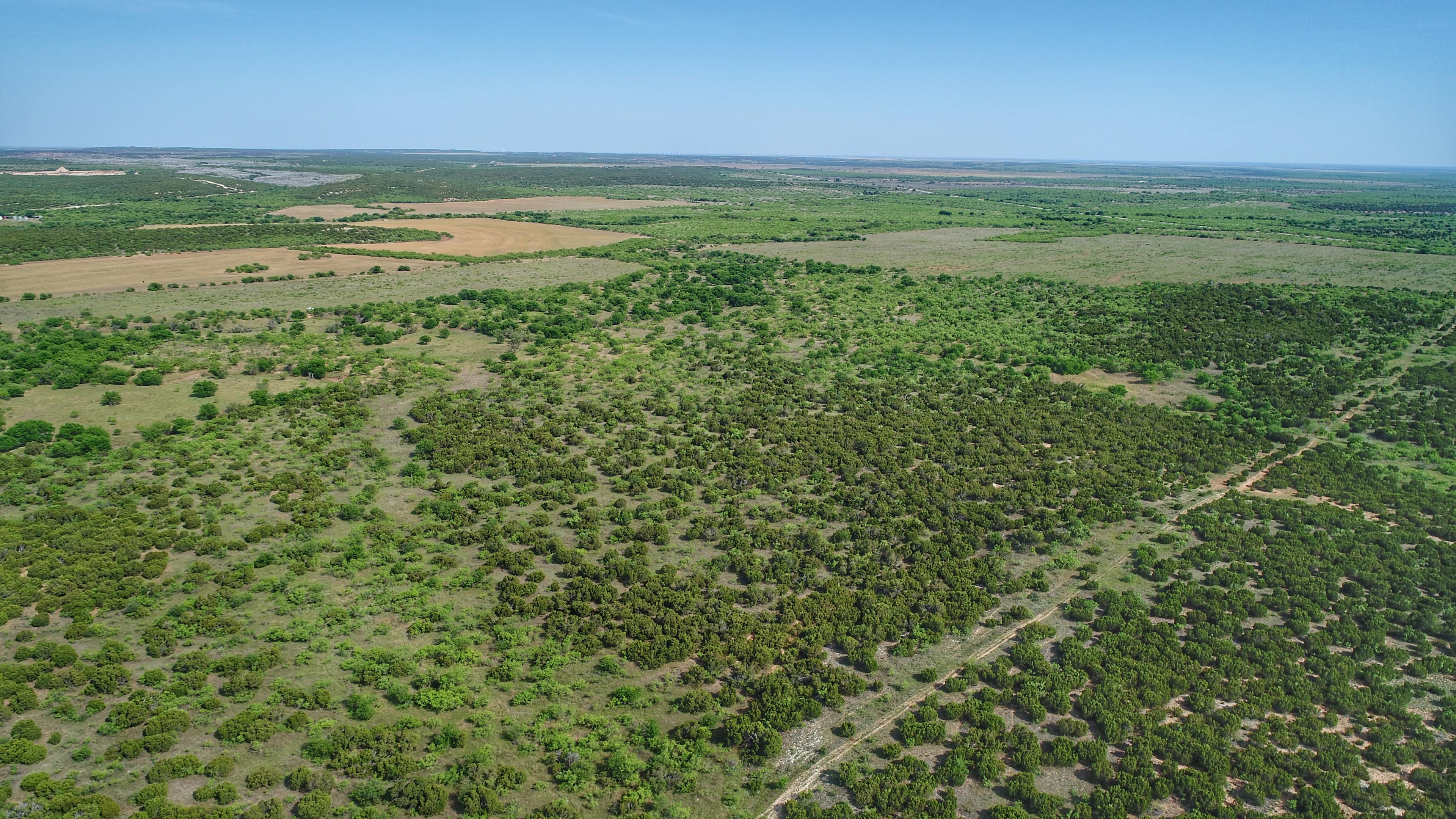 320.9 acre farm in Foard County, Texas