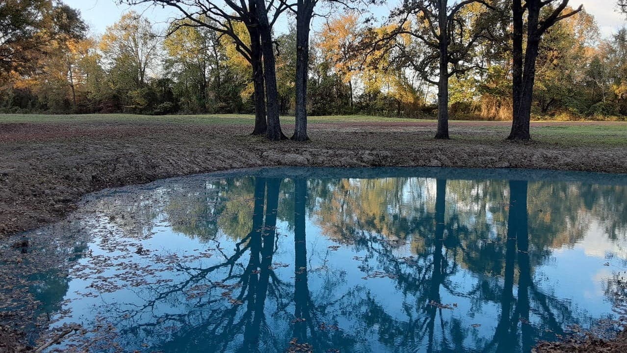 Overview of 21.01 acre ranch in Titus County, Texas