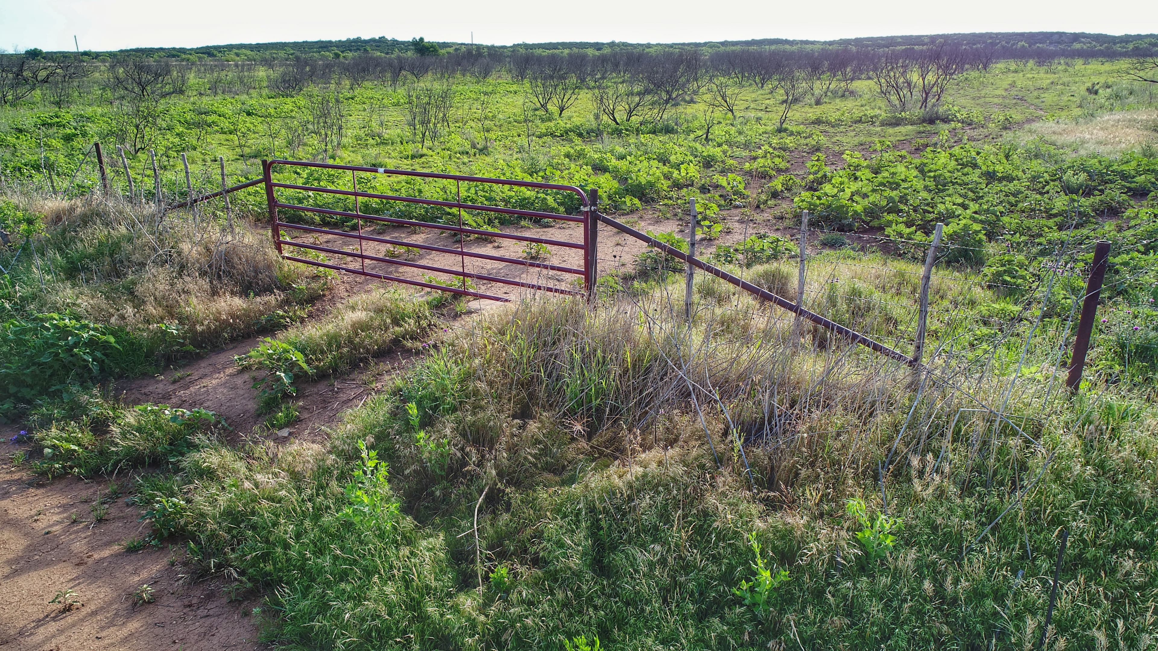 Overview of 174.8 acre farm in Foard County, Texas