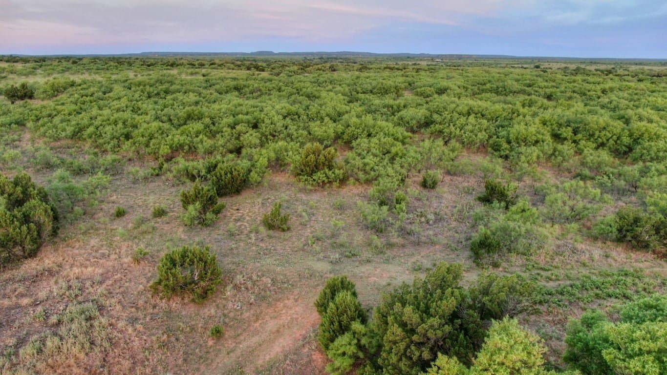 80 acre hunting land in Foard County, Texas