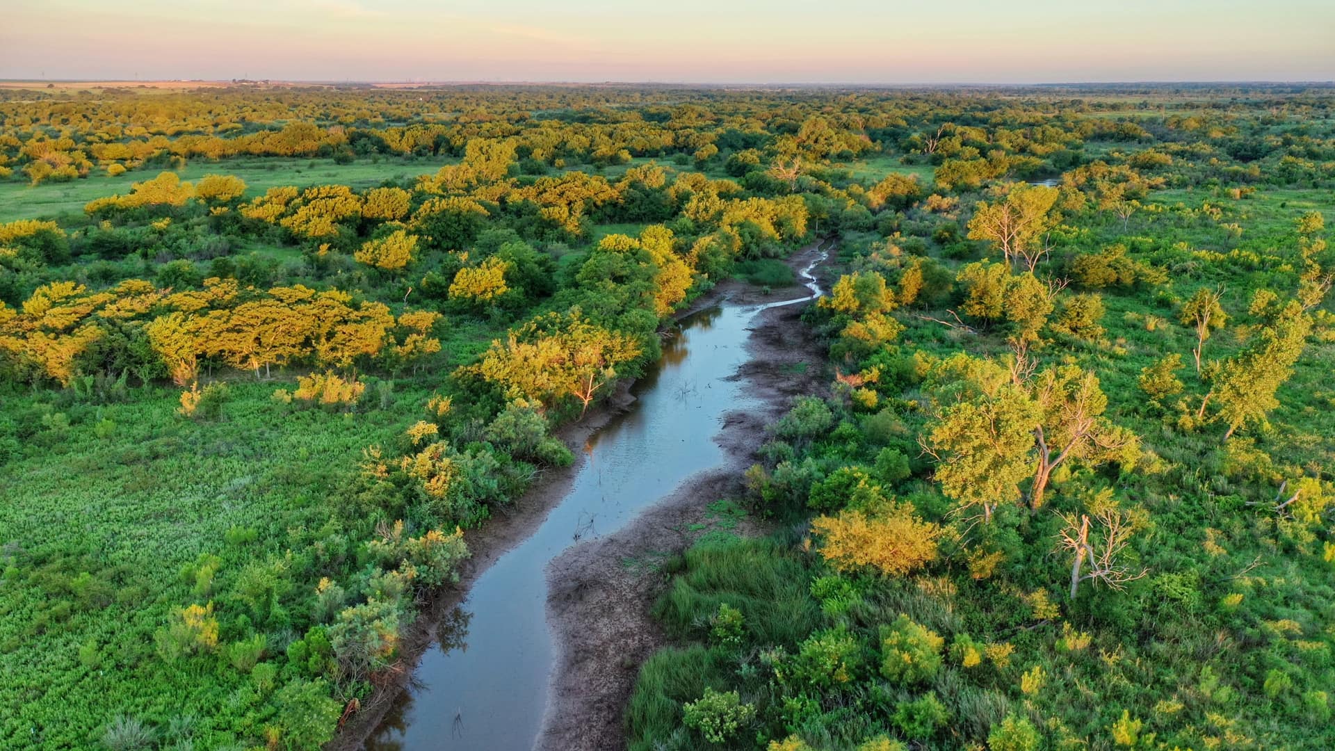 1,580 acre hunting land in Wichita County, Texas