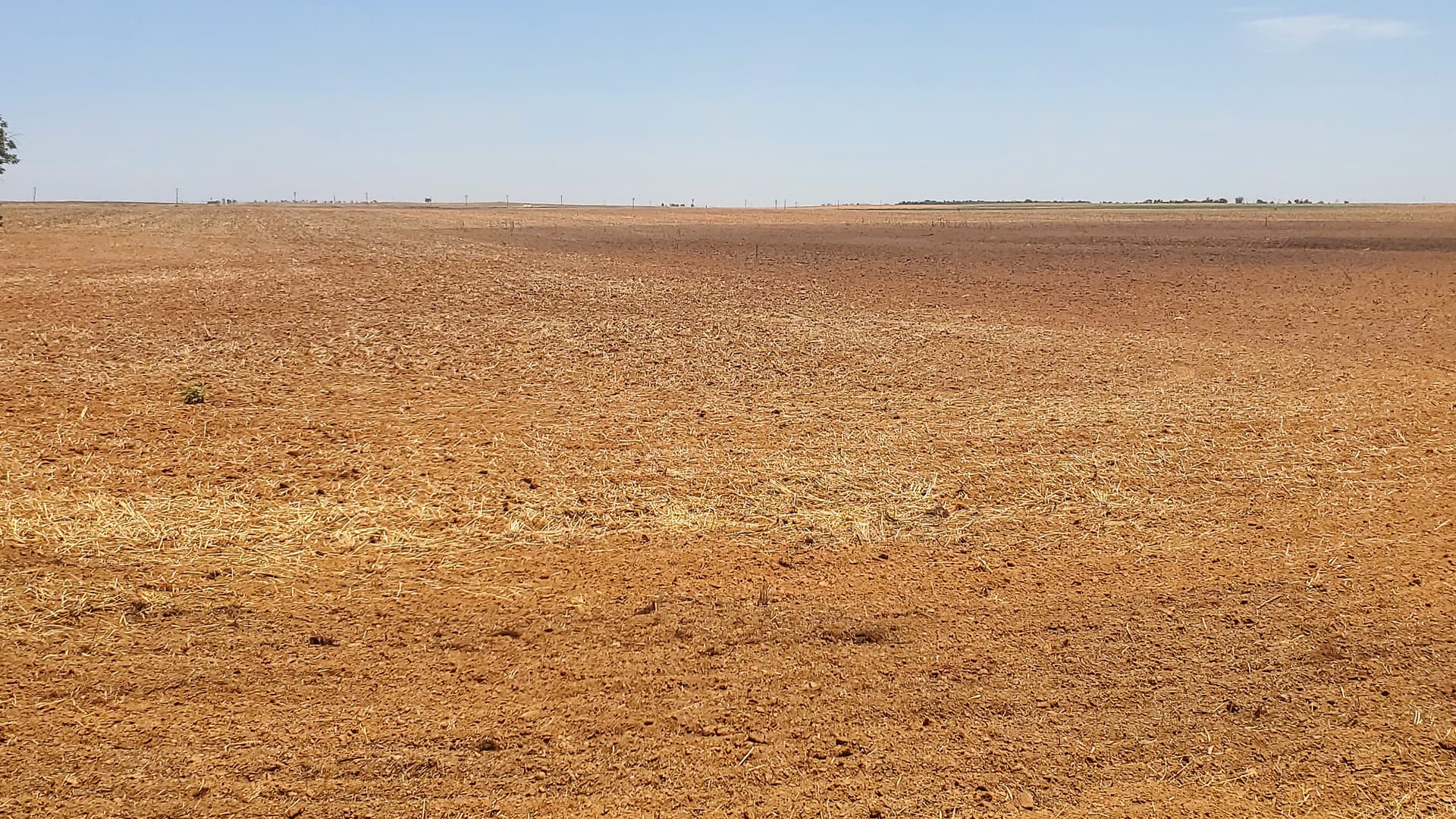 Overview of 160 acre farm in Knox County, Texas