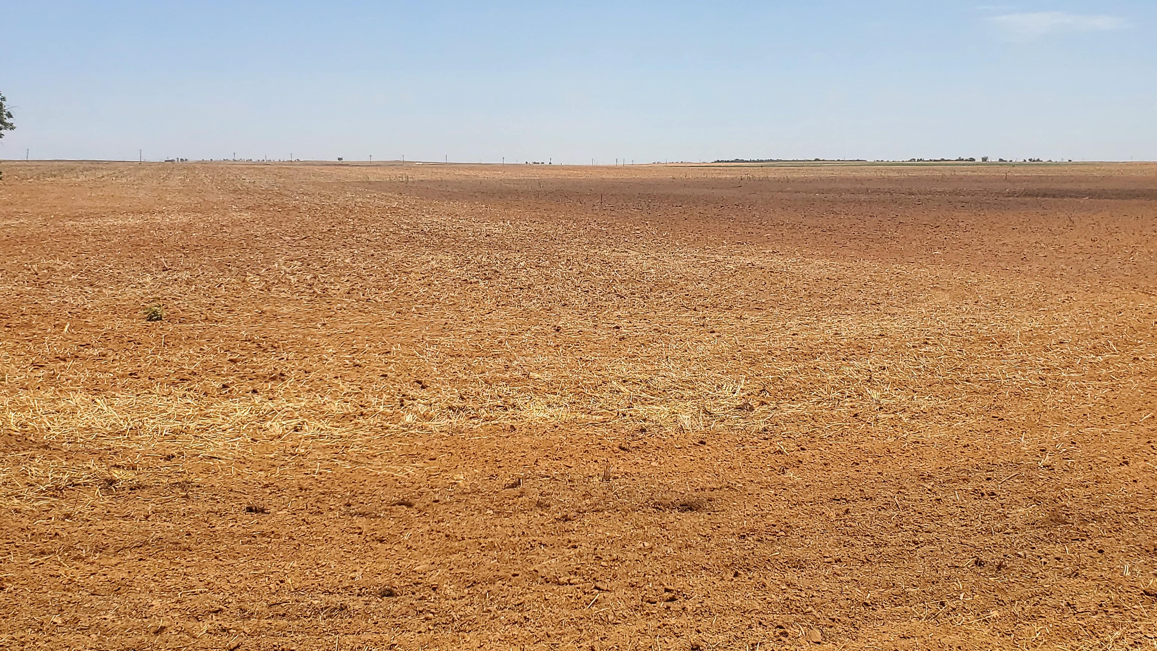 160 acre farm in Knox County, Texas