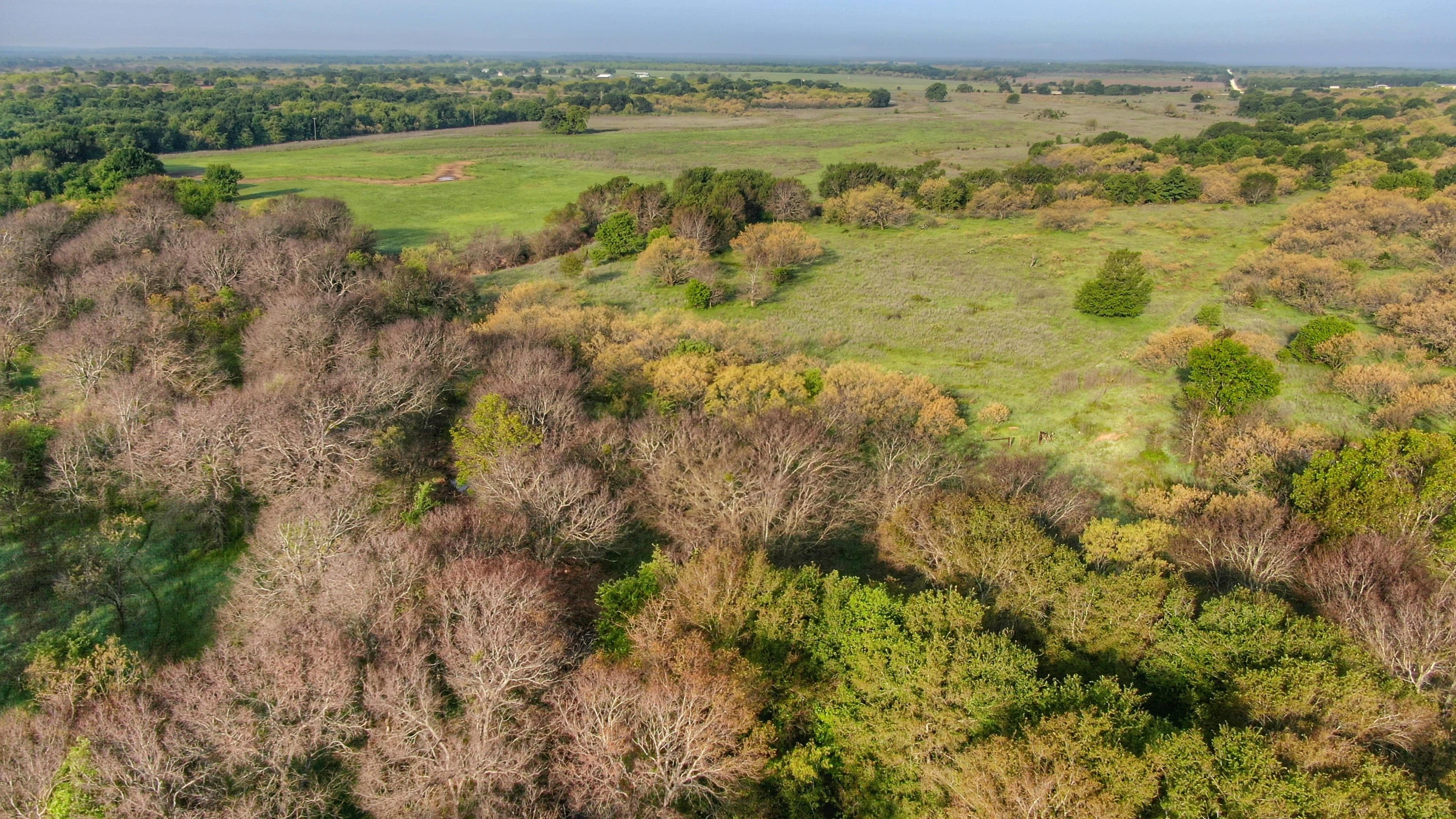 1,203 acre farm in Young County, Texas