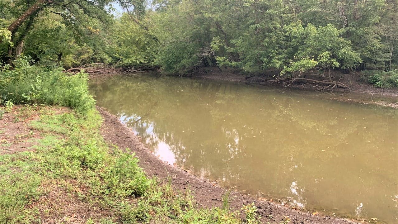 Overview of 65.96 acre ranch in Red River County, Texas