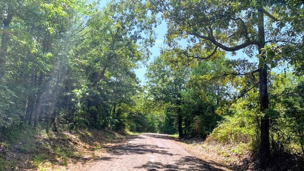9.17 acre hunting land in Camp County, Texas