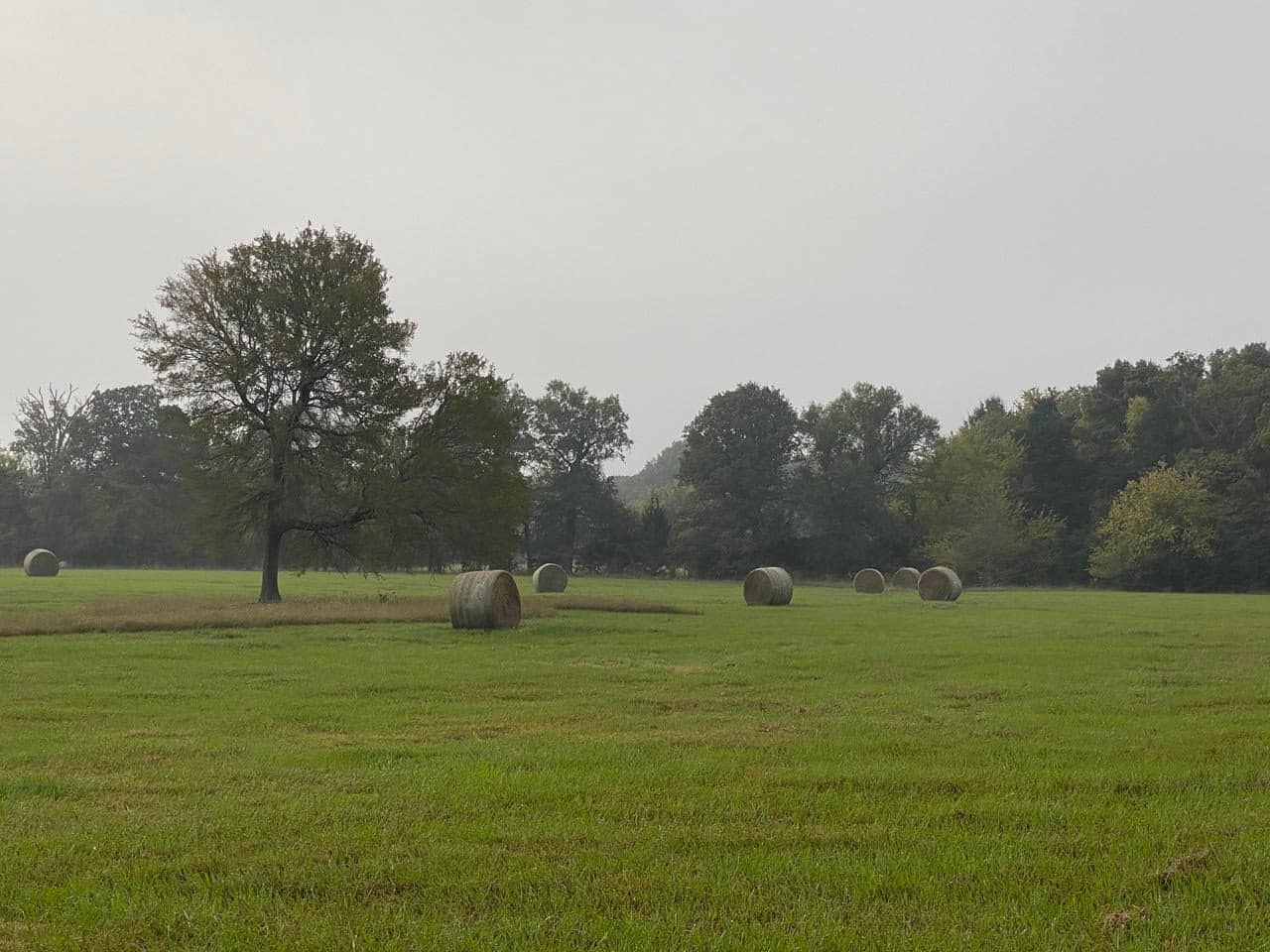 42 acre ranch in Red River County, Texas
