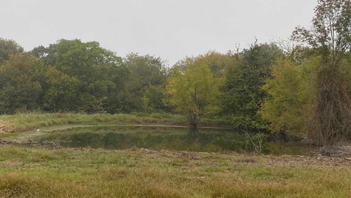 Overview of 157 acre ranch in Red River County, Texas